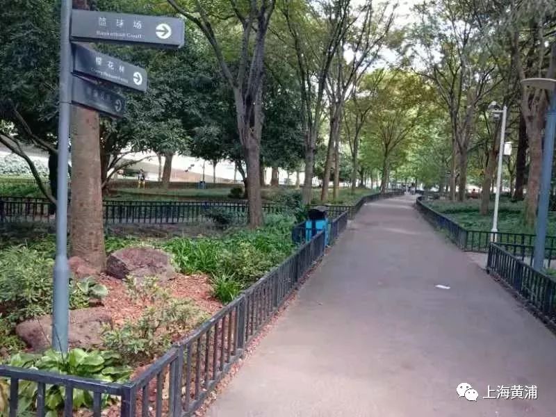 黄浦区延福绿地篮球场,黄浦区健身塑胶跑道工程