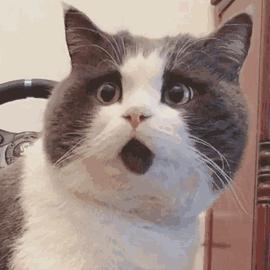 杭州女子发烧40度,杭州姑娘发烧