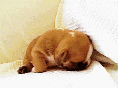 颈椎旅行枕,颈枕按摩旅行神器推荐