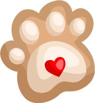 萌鸡小队超级飞侠图片,在超级飞侠当中竟然出现萌鸡小队