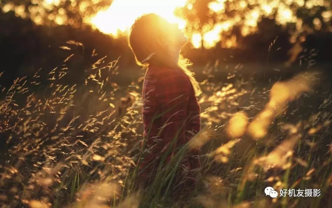 相机元器件坏了,器材常识