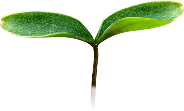 微信下单抽奖骗局怎么反诈骗,警惕骗子新套路