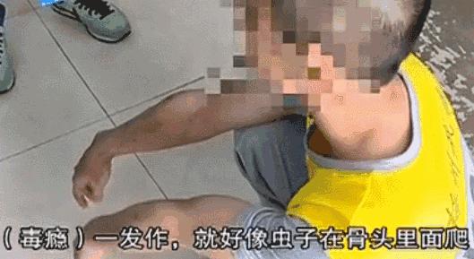 无糖曲奇饼干的危害,曲奇饼干背后恐怖的秘密