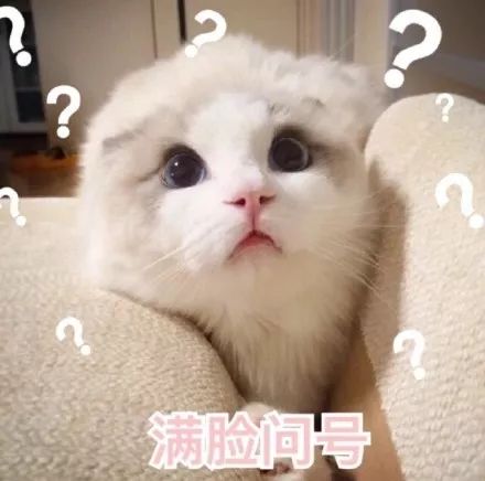 锦鲤是怎么火起来的,中国锦鲤怎么火起来的