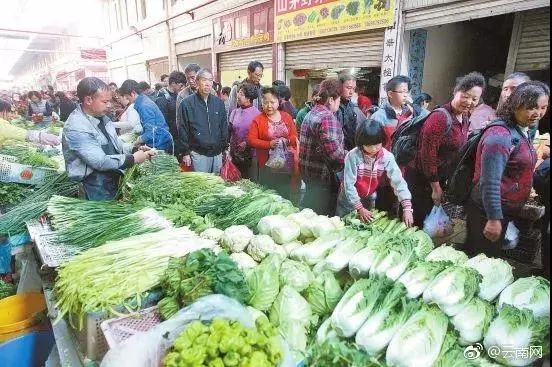 「丽江壹条」丽江市村级光伏扶贫电站建设工作启动/云南省级少年足球赛丽江开赛玉龙县8所小学参加！