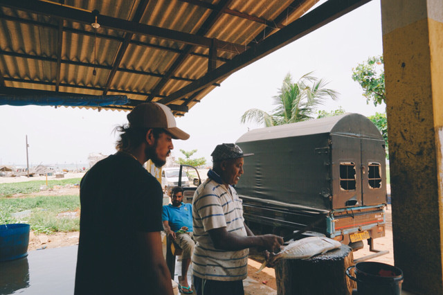 斯里兰卡10天自由行攻略,上海飞斯里兰卡路线