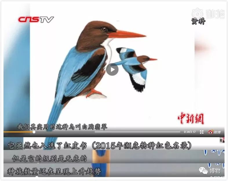 做点翠需要的材料,做点翠饰品犯法吗