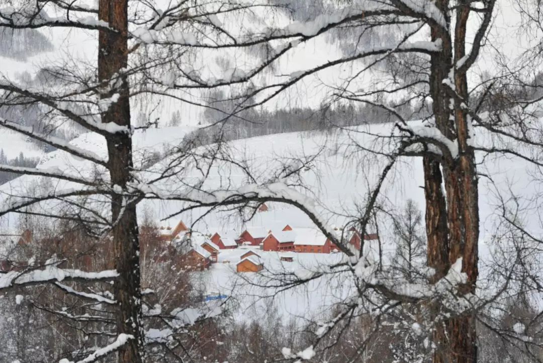 雪都阿勒泰·净土喀纳斯走进北京、上海、武汉、郑州四城向全国发起邀请：冬季做客人类滑雪起源地阿勒泰·人间净土喀纳斯不冬眠