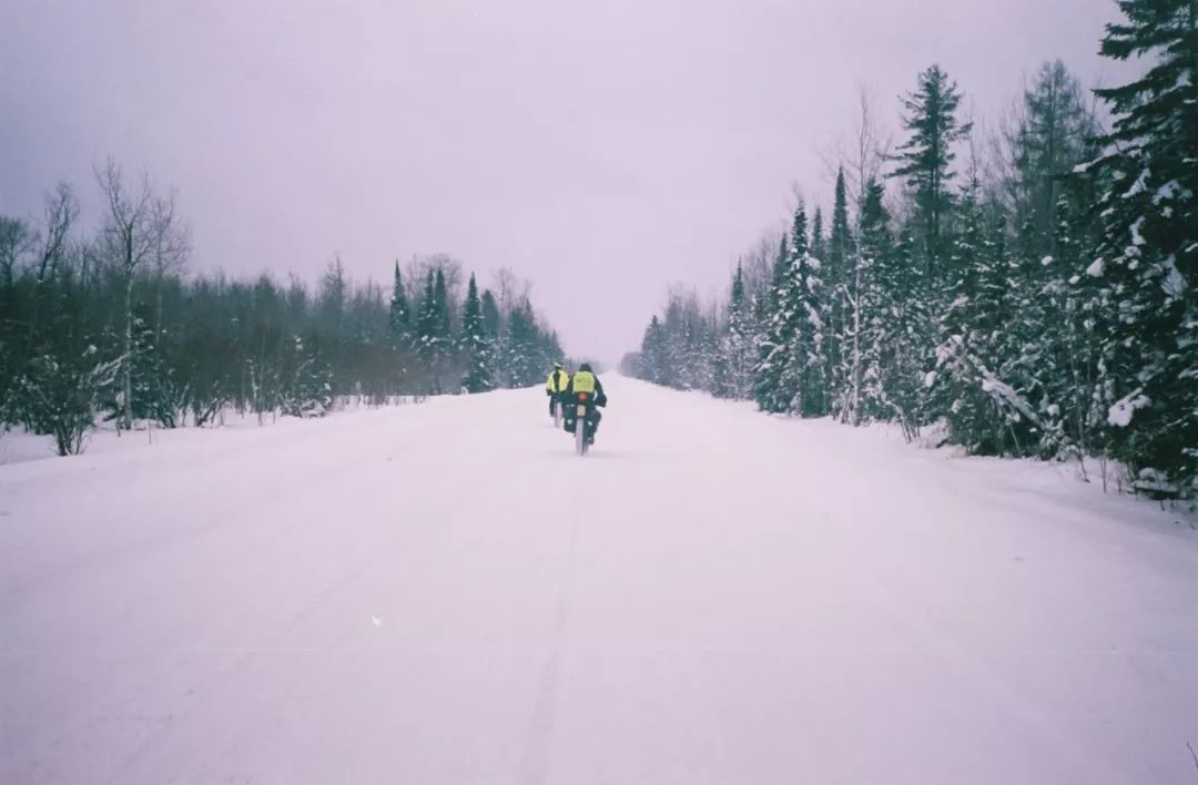 24款山地车推荐性价比之王,2024款12速山地车推荐