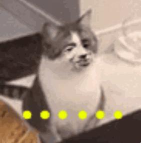 中国最好用的韩妆排行,网上爆火的韩妆在韩国居然没人买