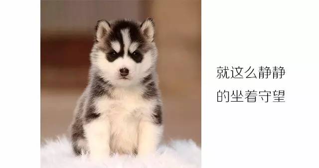 涨姿势是啥,涨姿势的词性