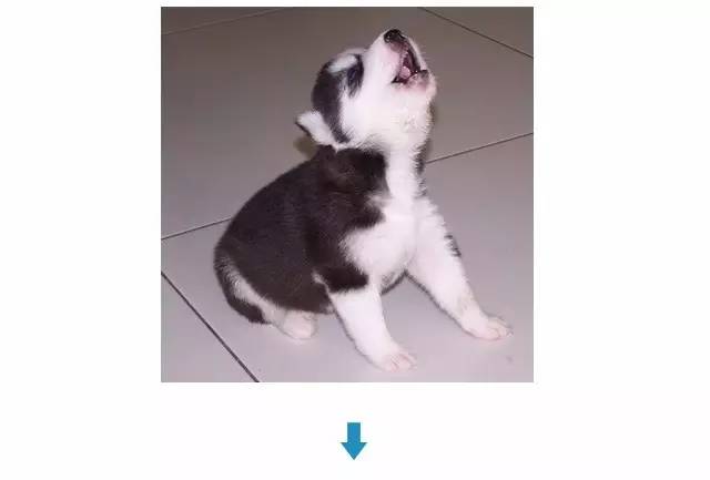 涨姿势是啥,涨姿势的词性