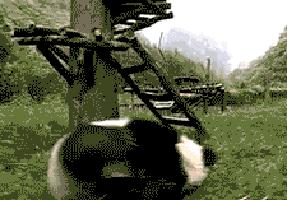 鸡孵蛋的植物,什么草能让鸡多下蛋