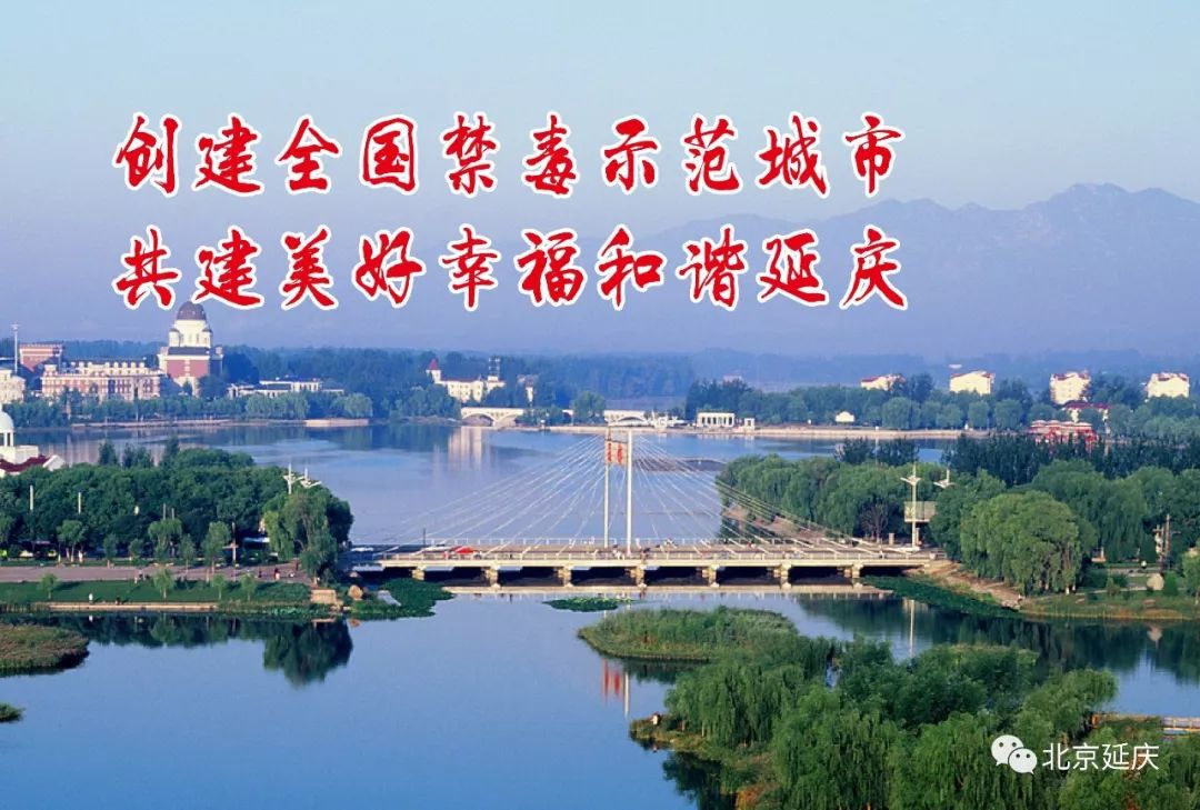 北京中医医院延庆医院预约挂号,延庆医院专家出诊表