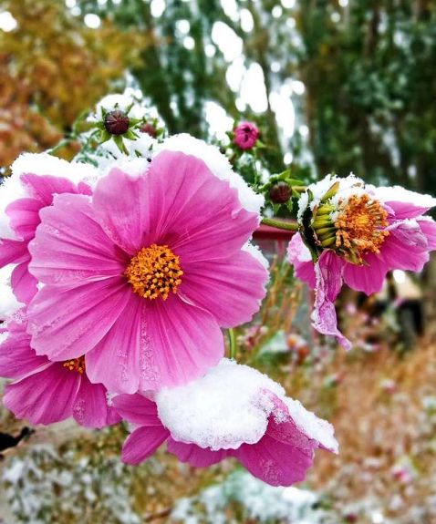 游·达坂城｜下雪了，一起来达坂城看美景~