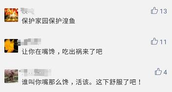 有人煮了几条鱼，发了个短视频，摊上大事了！