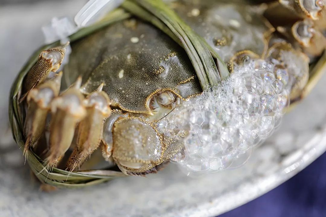 大闸蟹各部位千万别吃图解,大闸蟹这四个部位不建议吃