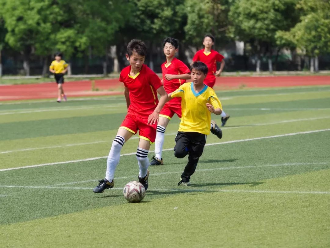 体现素质教育成果的照片,展现教育新变化的图片