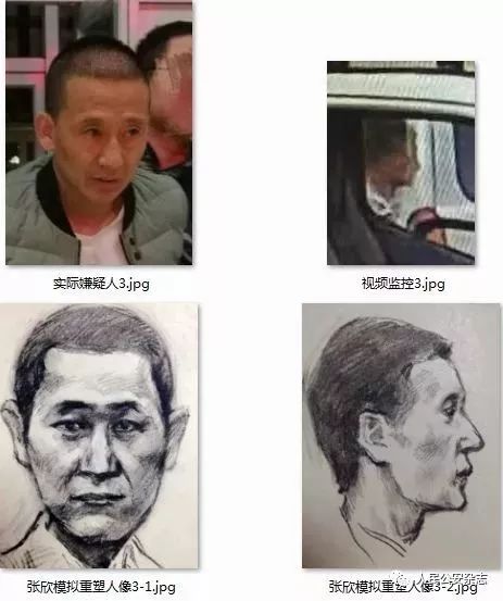 白银案张欣画像,神笔警探张欣破案