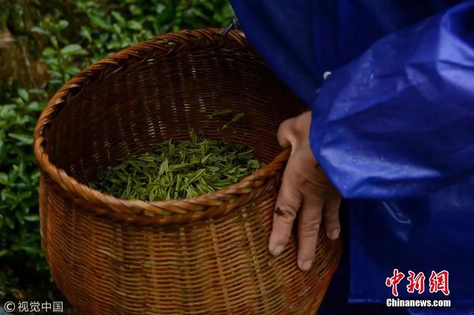 友谊中要注意什么,友谊消化科普