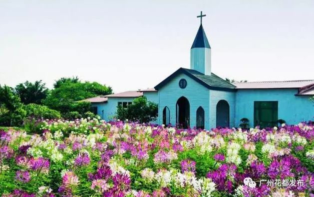 广东十大绿美森林小镇投票,2019年广东省森林小镇认定名单