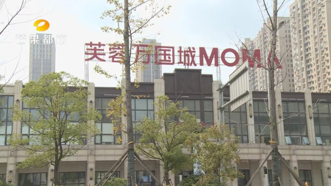 长沙芙蓉分局金融诈骗案,长沙芙蓉诈骗案件