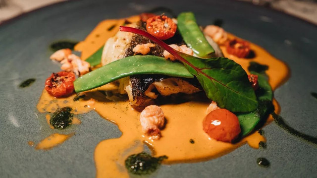 西厢房|沙漠中的极致野奢,每间都有私家泳池,羚羊会还会来泳池喝水