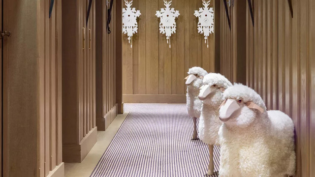 阿尔卑斯山有什么禁地,阿尔卑斯山深处有什么