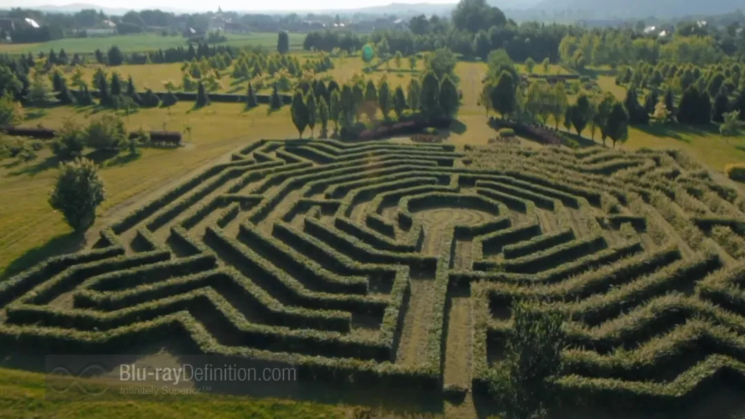 免费领取音乐会门票,音乐会门票1000