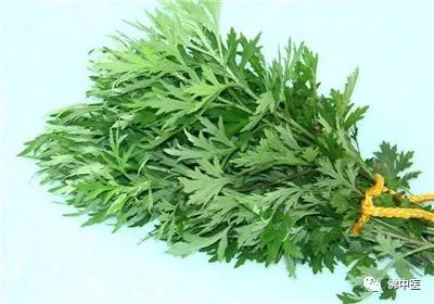 「传统医药日」秋冬预防季节性疾病，巧用艾条“自灸”益处多