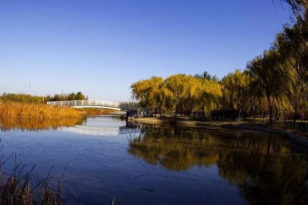 工厂改造成文化娱乐产业园,企业文化建设休闲区