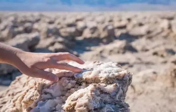 死亡谷里面的牛,死亡谷里的牛