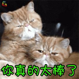 琚兏浜嬩欢,绂忓窞浠撳北钃濊皟绂昏氨浜嬩欢