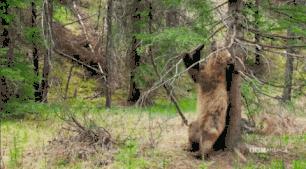 优秀的男人都是怎么穿搭的,优秀的男人应该怎么样的