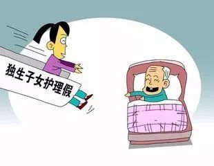 商洛手机台今日新闻,商洛手机台最新消息