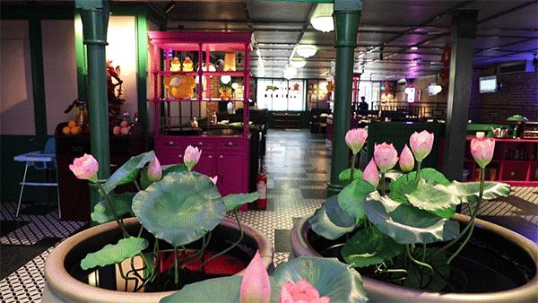 这只“会伪装”的鸡，今天起5.8折！