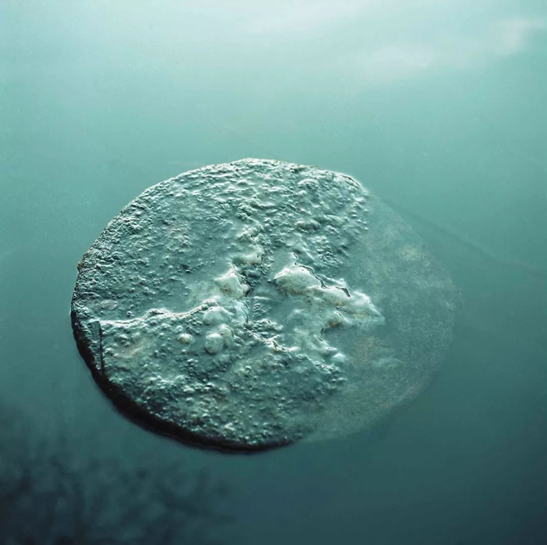 东欧摄影作品,东欧摄影之旅