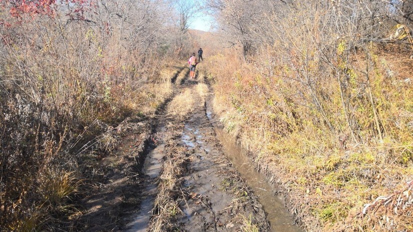 汪清直播外景,汪清户外直播