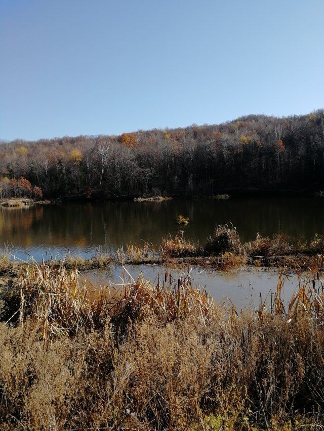 汪清直播外景,汪清户外直播