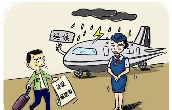 航班延误损失如何处理,航班延误保障怎么理赔的