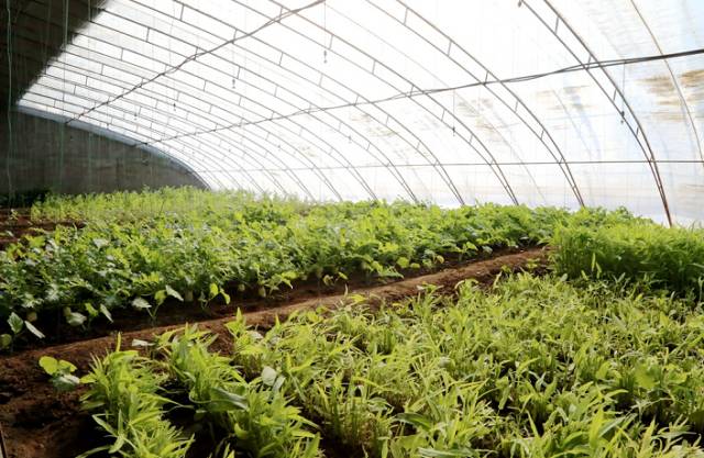 「靓·白云」秋天的白云鄂博，仿佛让你置身岁月的留声机中……