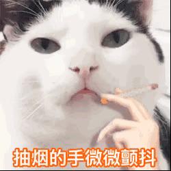 猫咪呜呜呜的叫是什么意思,猫咪呜呜呜的跑来跑去