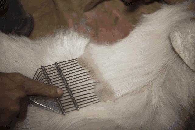 羊绒衫好物推荐,高品质羊绒衫内搭外穿都好看