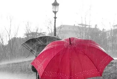 知乎高赞惊艳的教育方式,知乎高赞40个问答