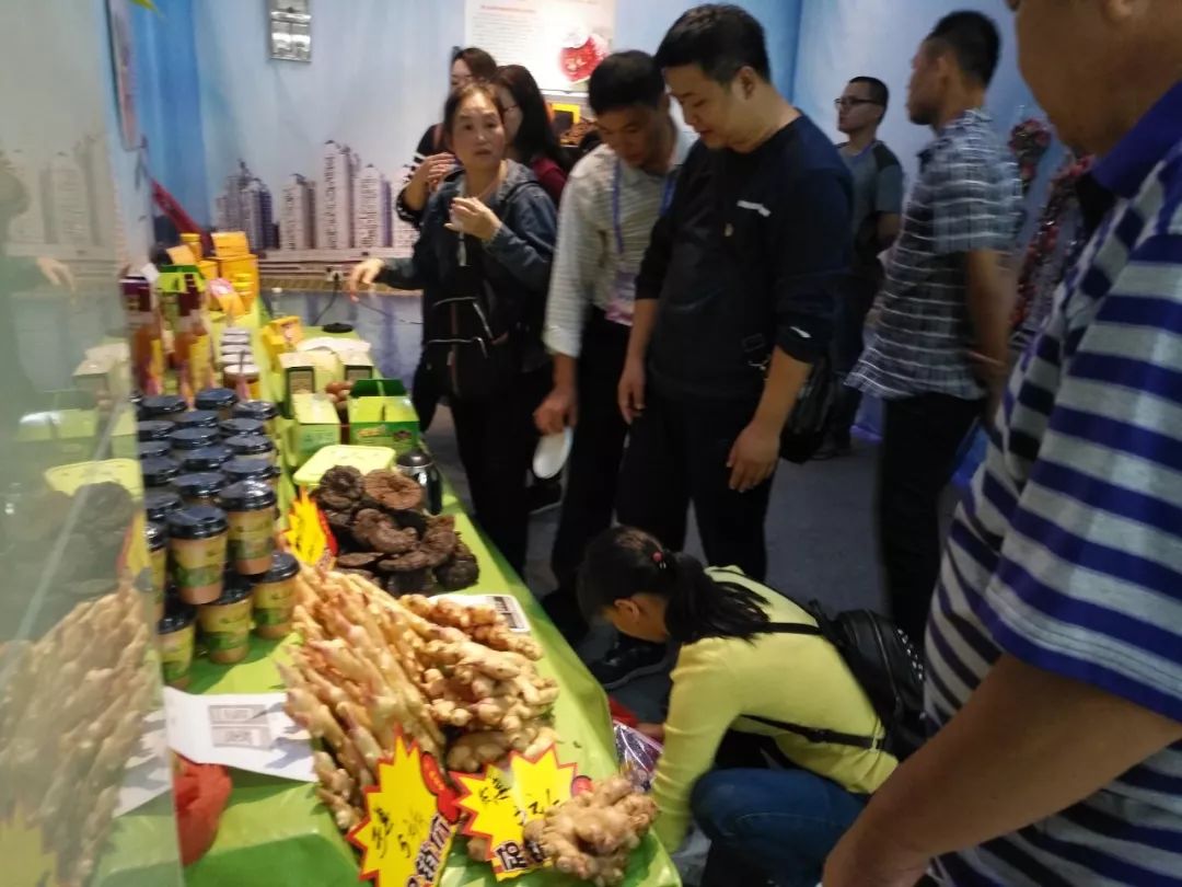 国际宝石节,宝石节什么时候去