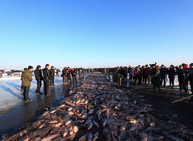 刘烨一家三口野外生活,刘烨旅游