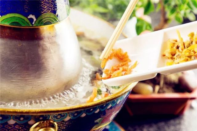 刘烨一家三口野外生活,刘烨旅游