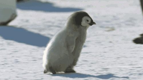 暖气里面有气为何就不热,暖气里有没有气怎么知道