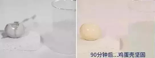 专治牙黄口臭超好用牙膏明星同款,牙膏测评美白去黄清新口气第一名