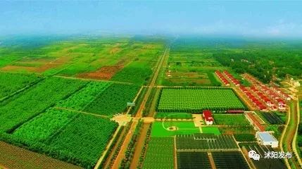 夏老师到底爱谁,夏老师喜欢陈律吗